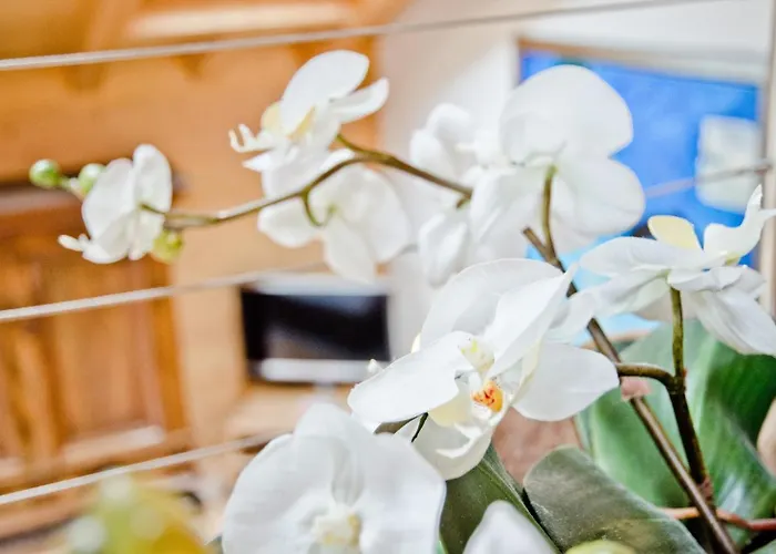 Apartment Baergrose - Griwa Rent Ag *