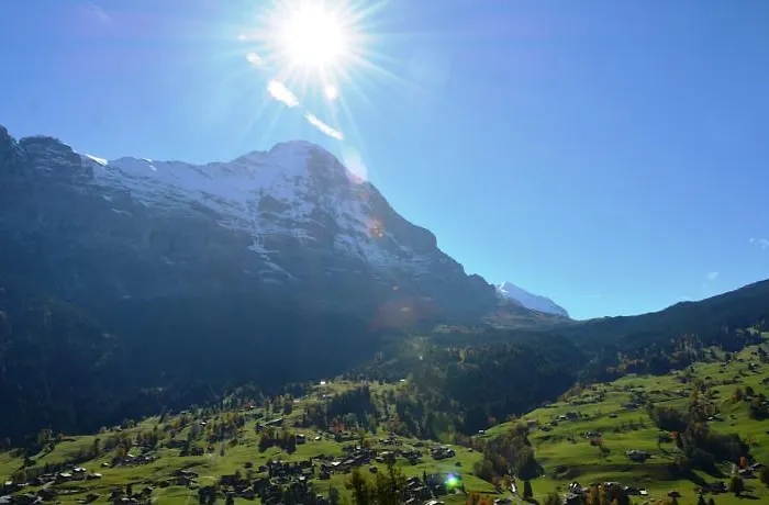 Baergrose - Griwa Rent Ag